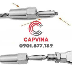 Đầu cố định 304 316 mã M5 – CAPVINA