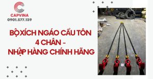 bộ xích ngáo cẩu tôn 4 chân