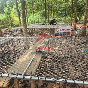 Lưới Cáp Inox An Toàn