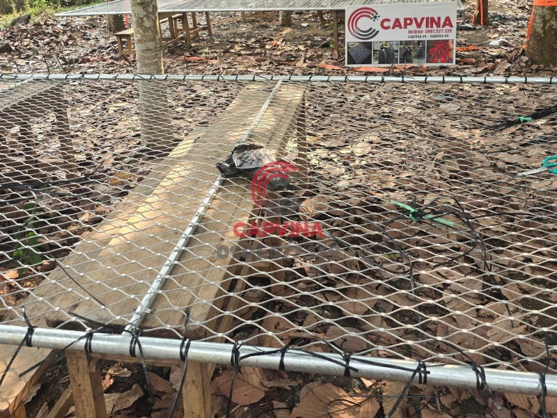 Cáp Lưới An Toàn Ban Công