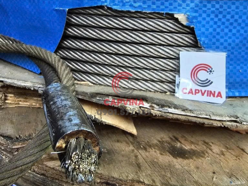 Cáp inox 8x29 IWRC phi 10