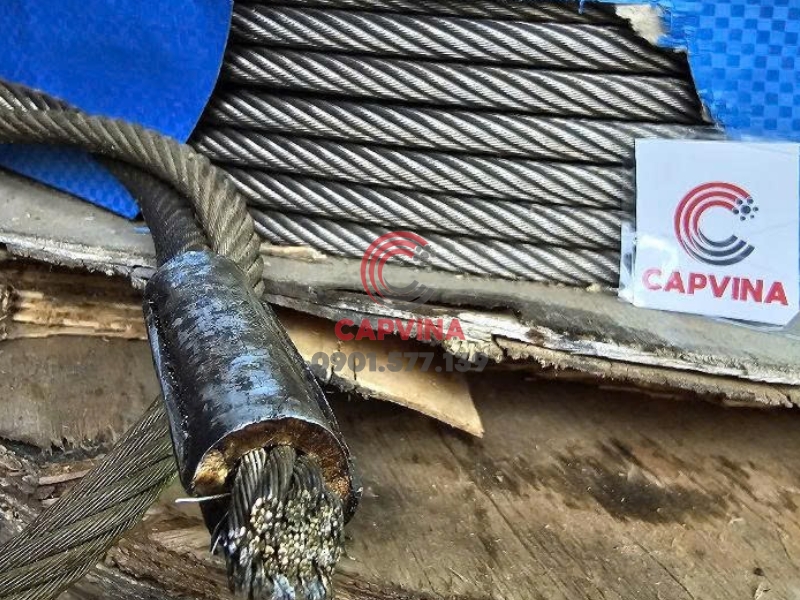 dây cáp inox cho máy cào phân