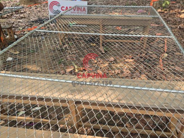 Lưới bảo vệ ban công