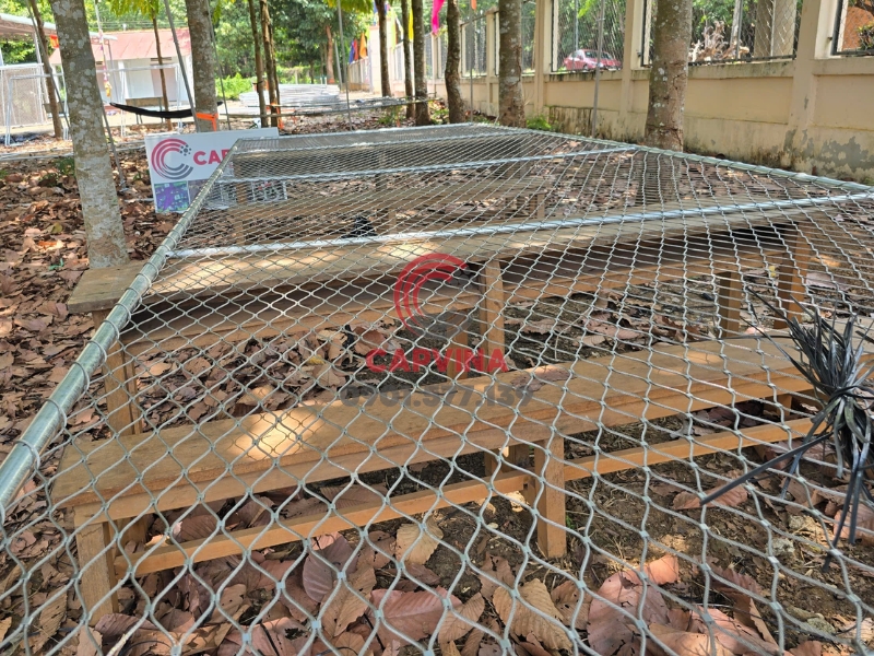 Lưới bảo vệ