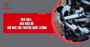 neo hall
