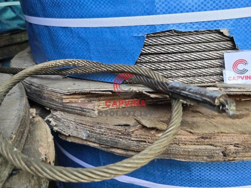 Dây cứu sinh trên mái 