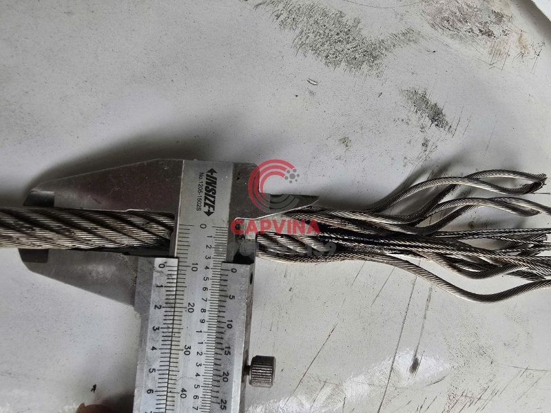 cáp inox 8x29 iwrc phi 10 cào phân