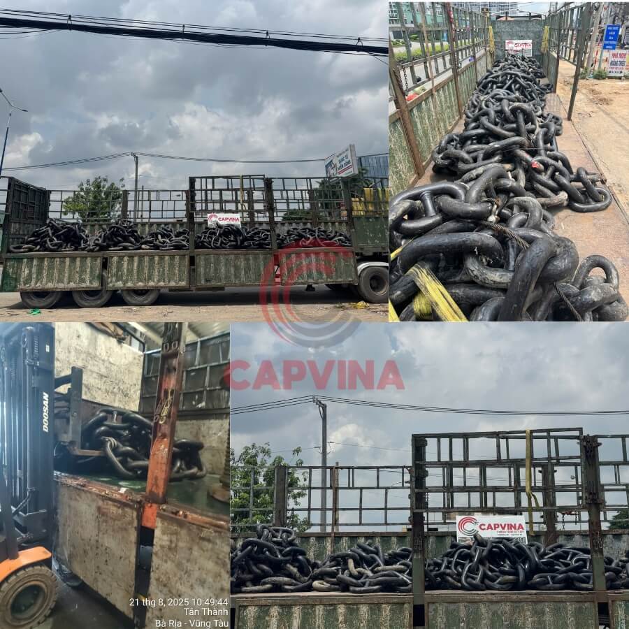 xích neo tại Vũng Tàu