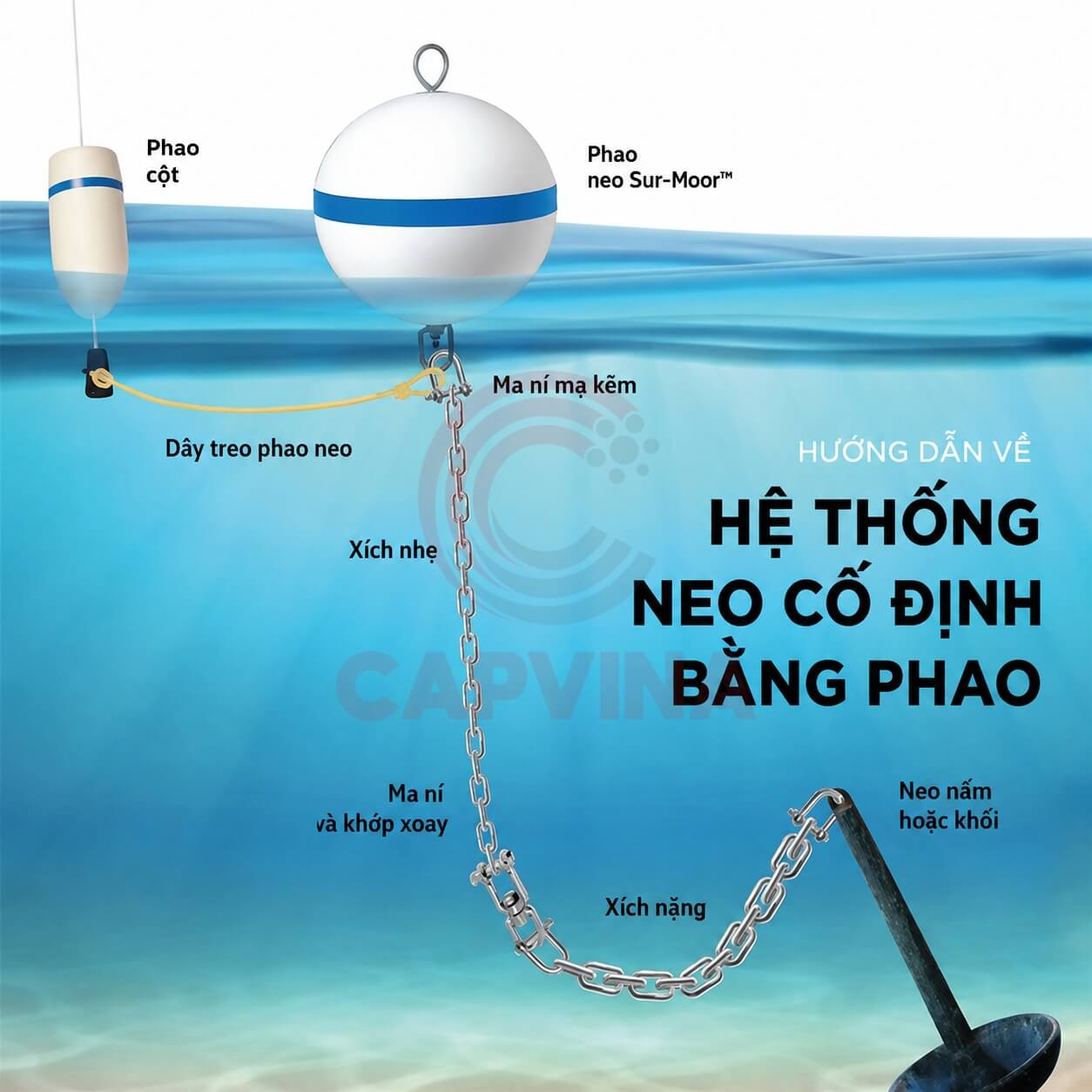 xích neo phao inox