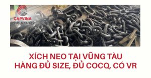 xích neo tại Vũng Tàu