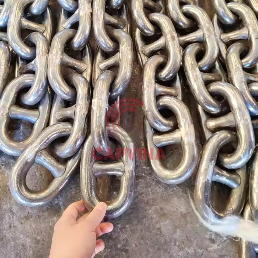 xích neo tại Vũng Tàu