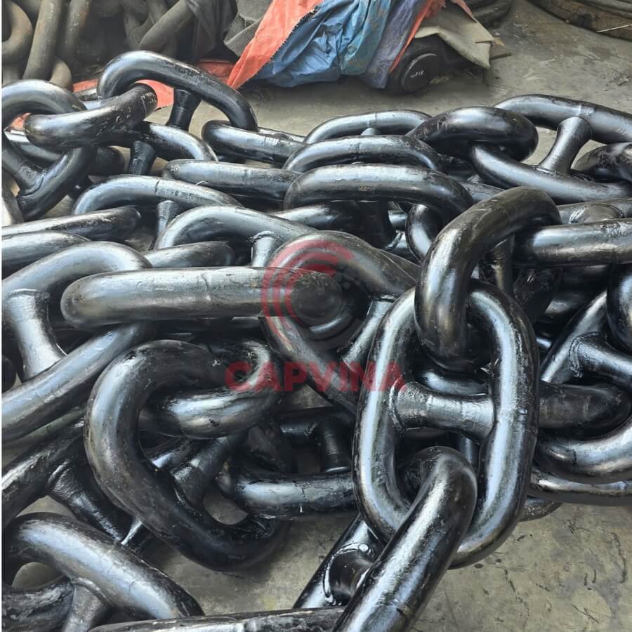 xích neo tại Vũng Tàu